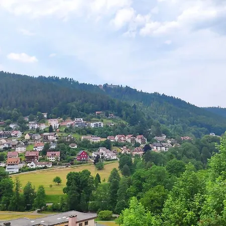 Appartement Wildbadferien De Bad Wildbad