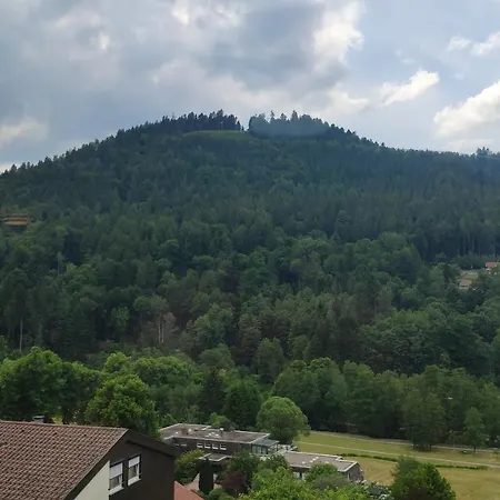 شقة Wildbadferien De