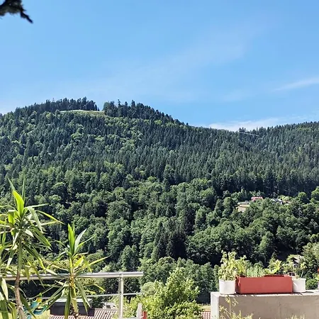 Wildbadferien De *